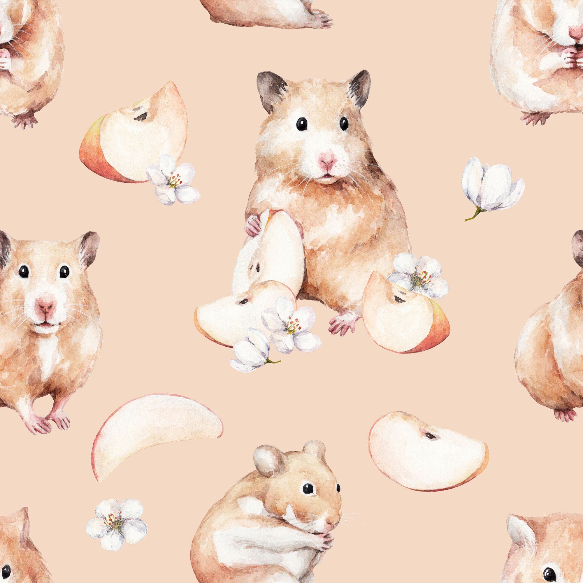 Hamster Shorts