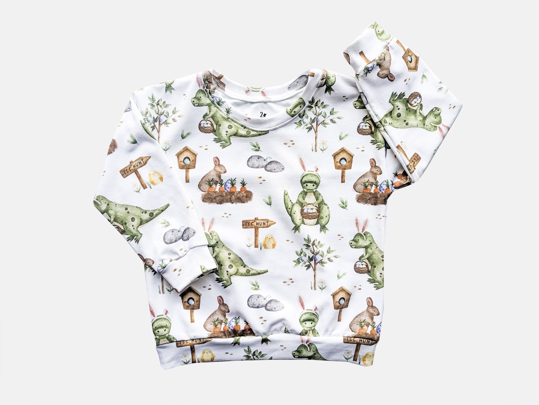 Dinosaurs and Bunnies Sweater