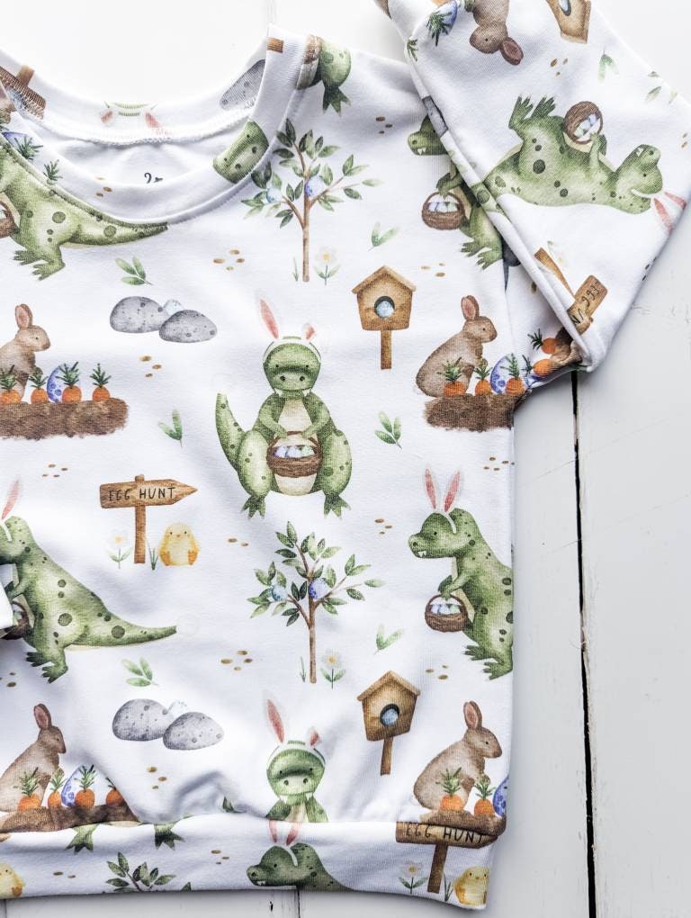 Dinosaurs and Bunnies Sweater
